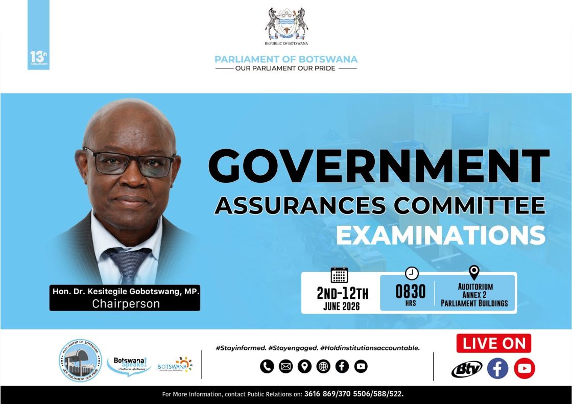 GOVERNMENT ASSURANCES COMMITTEE